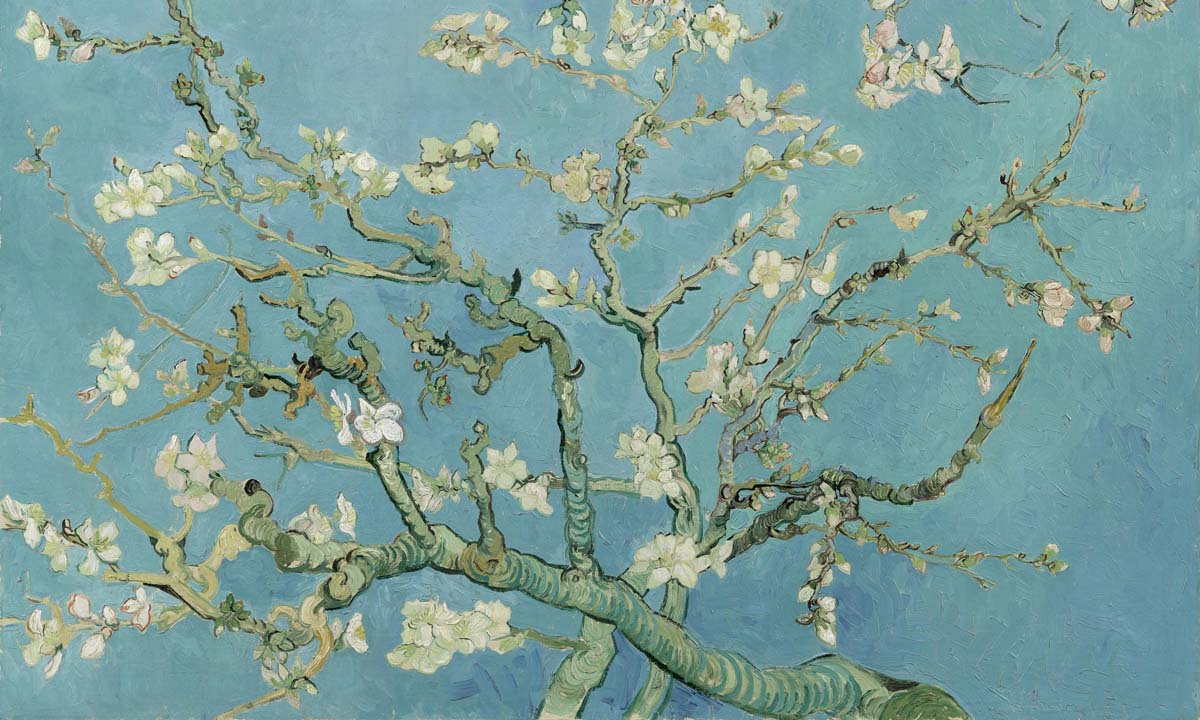 Fotobehang bloeiende bloesem van Gogh